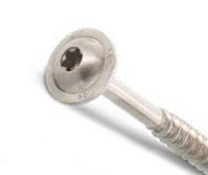 S tanjurastom glavom